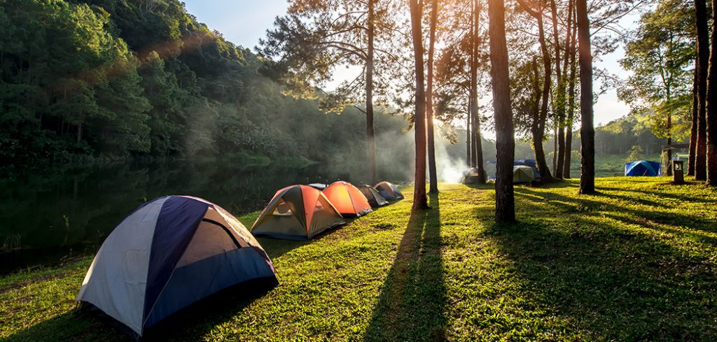 What’s Best for Camping, Roof Box or Trailer_ The Pros and Cons of Each