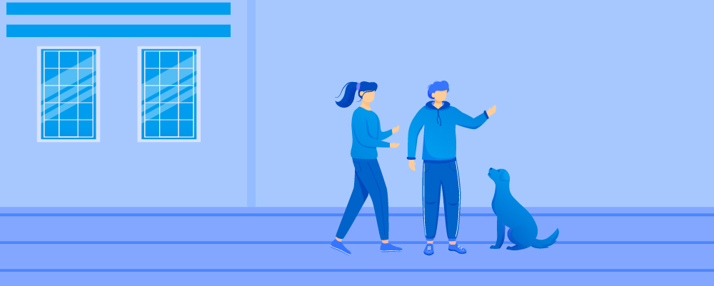 2.Planning Your Travels With A Dog